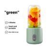 Electric Small Juicer